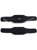 Dip Belt