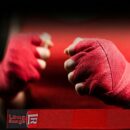 Hand Wraps ( Red )